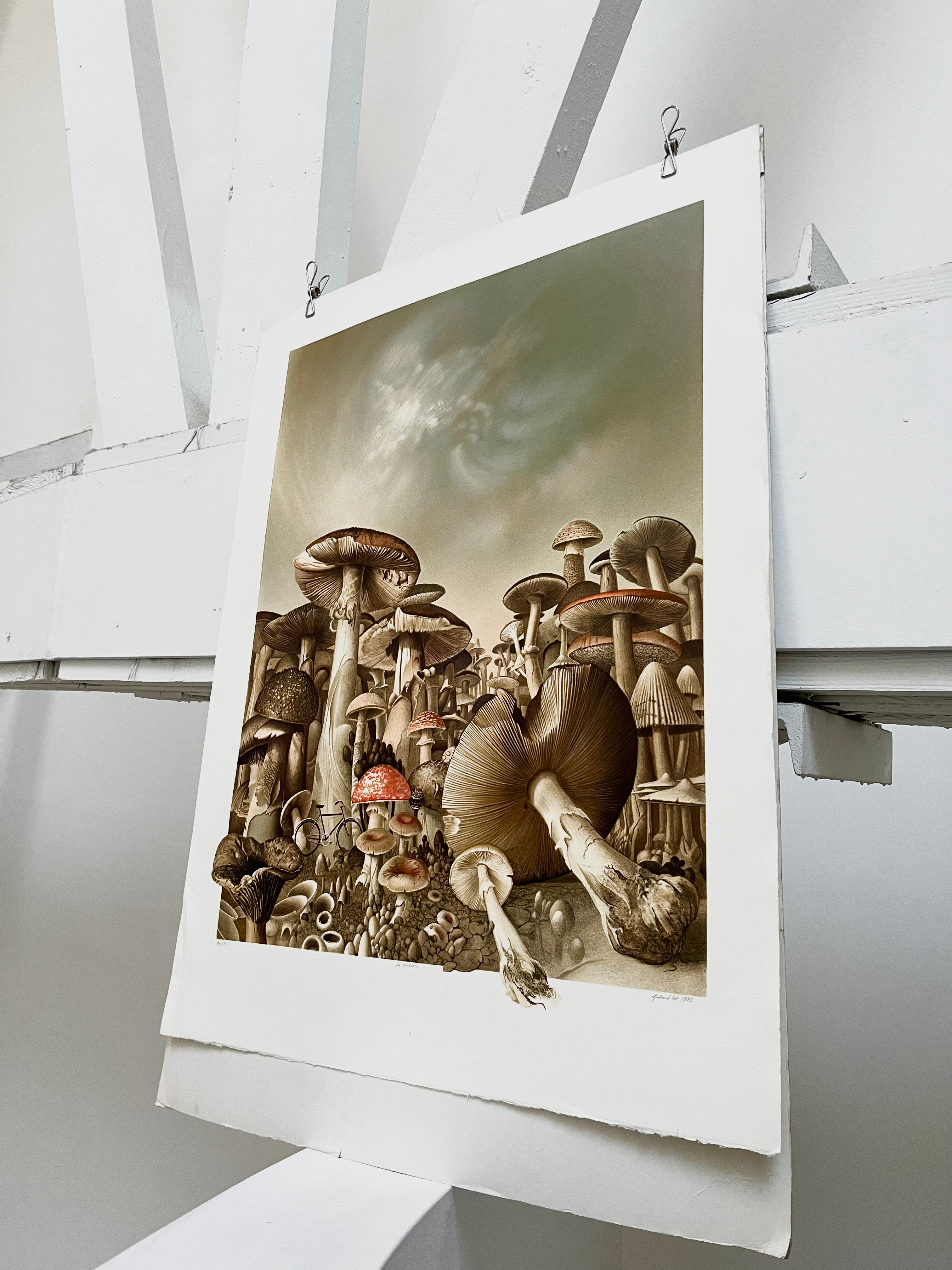 Lost To Time – FORM Vintage