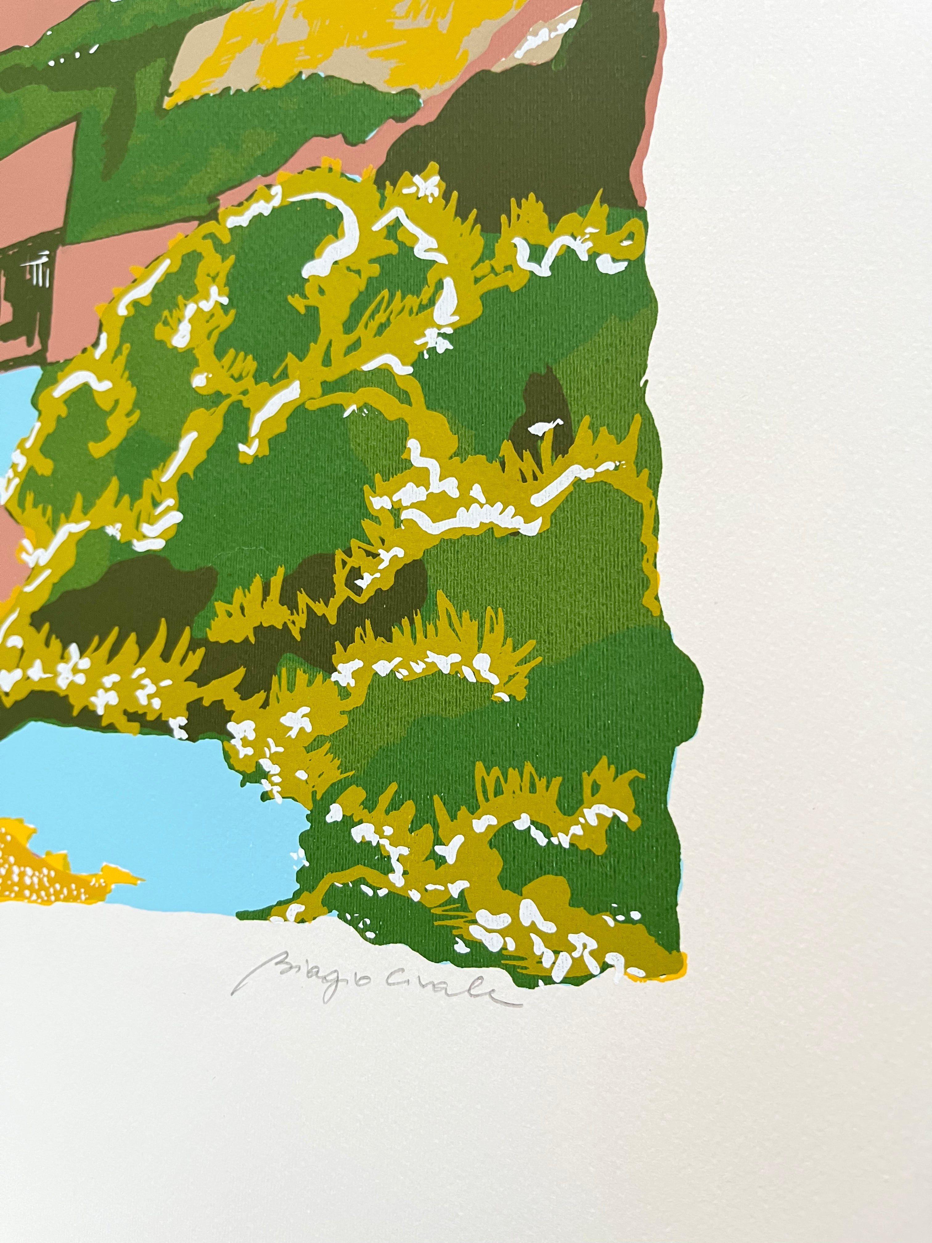 Close-up view of print texture and paper quality on Biagio Civale's signed screenprint