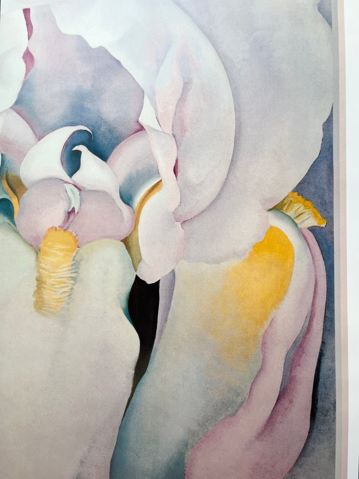 Close-up of the right side of the Georgia O'Keeffe Light Iris poster showing print detail and paper condition