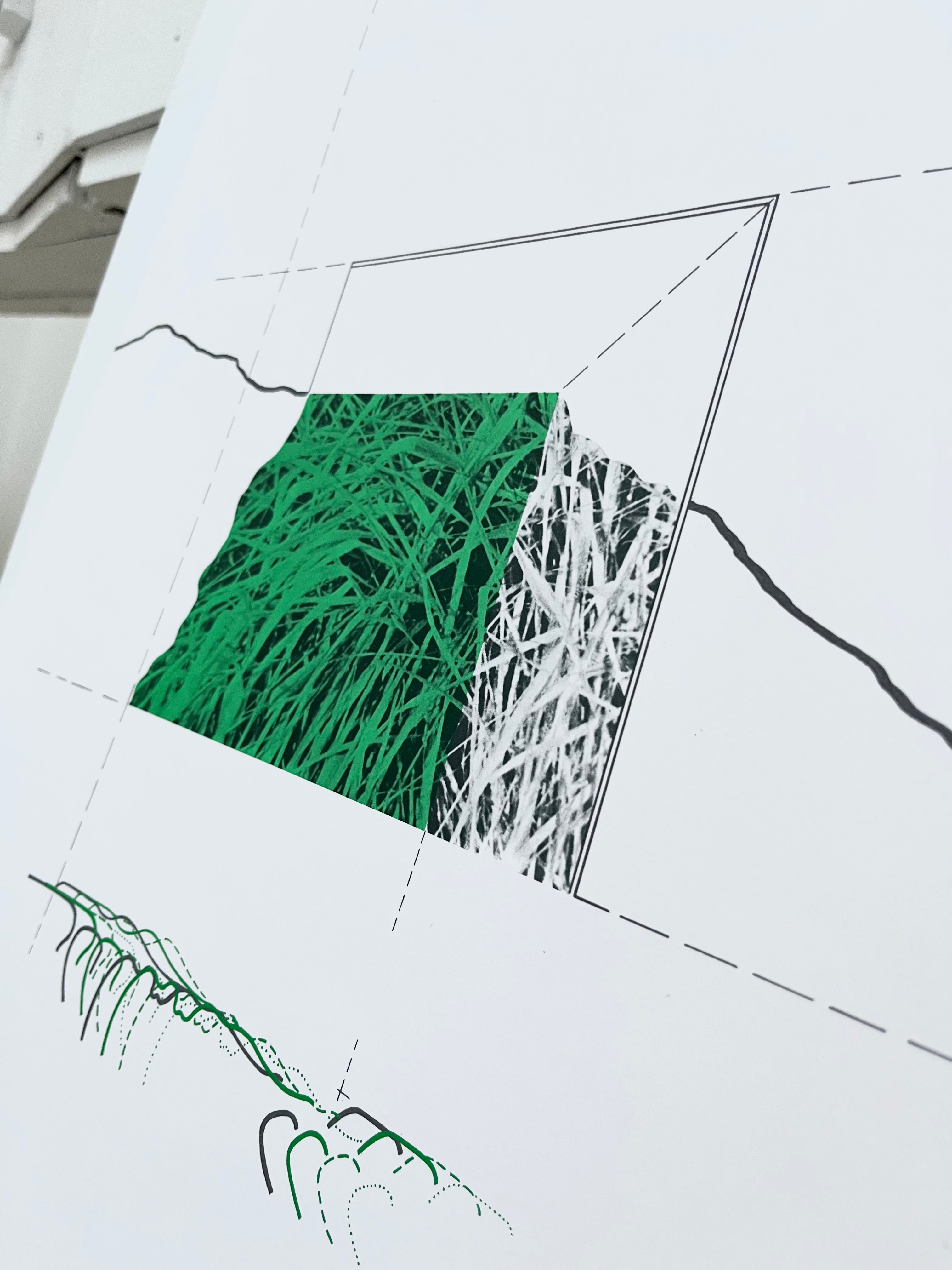 Close-up detail of the lithograph’s printed surface