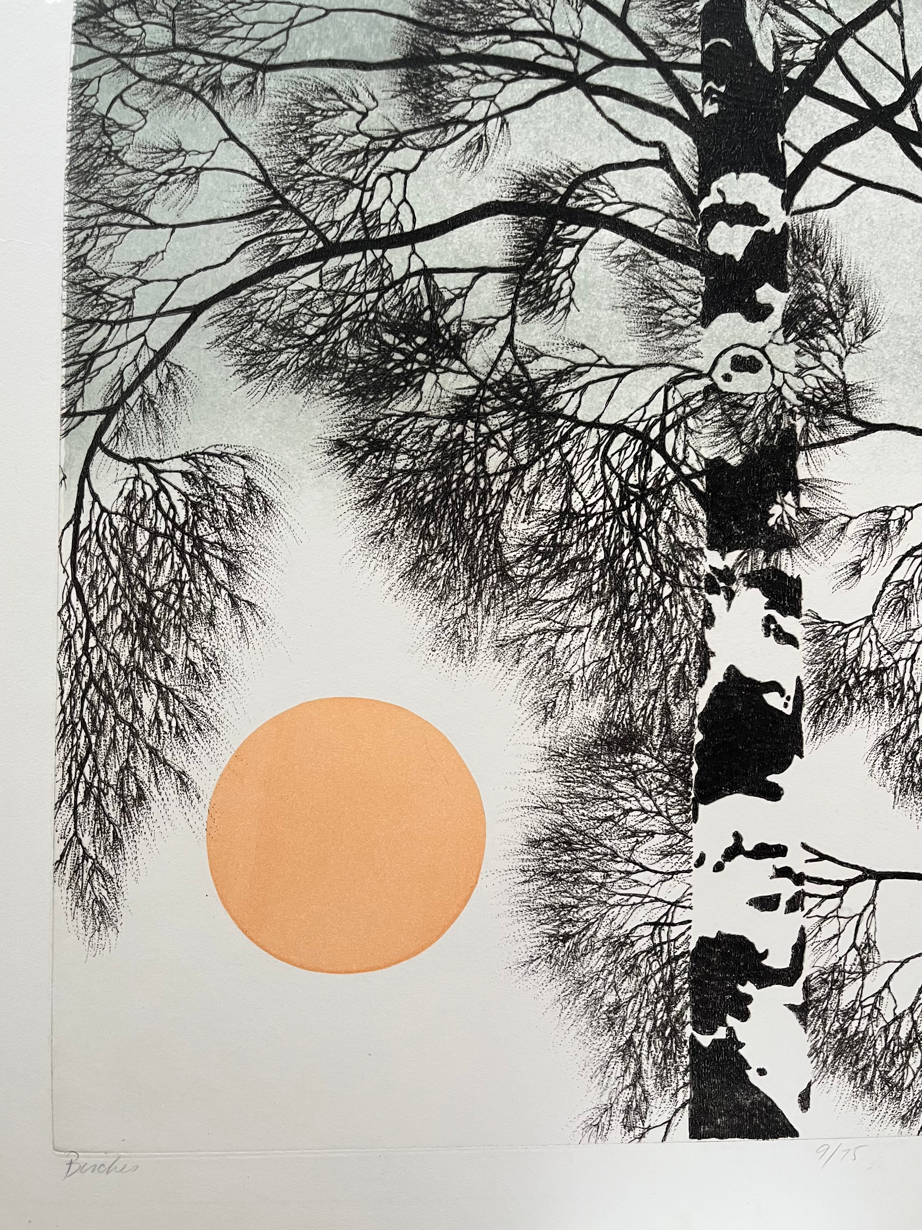 1970s XL Richard Volpe Signed Etching