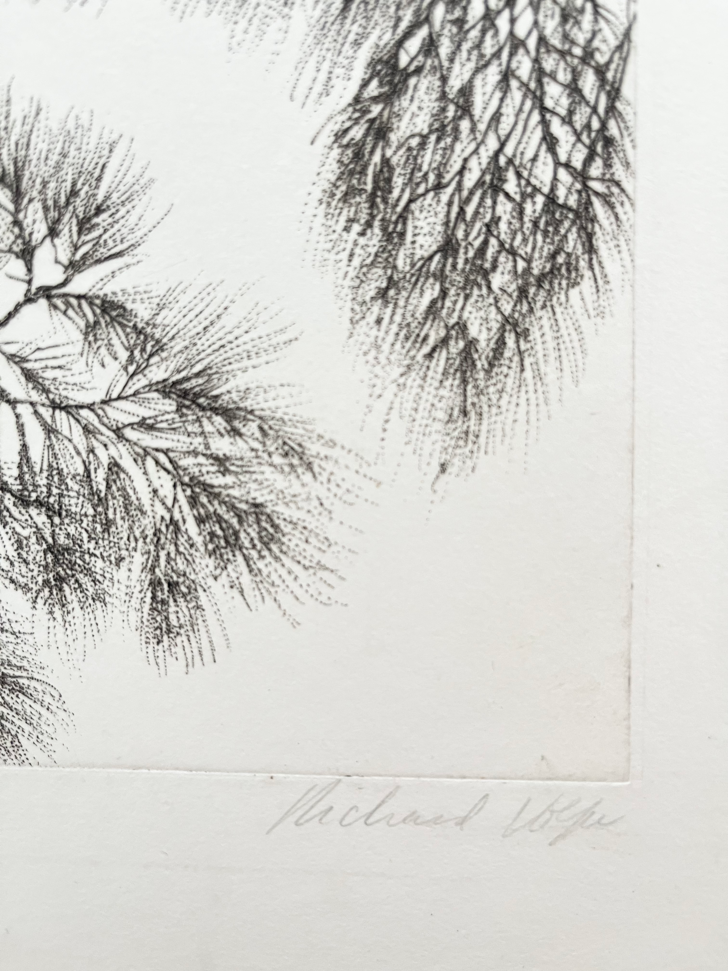 1970s XL Richard Volpe Signed Etching