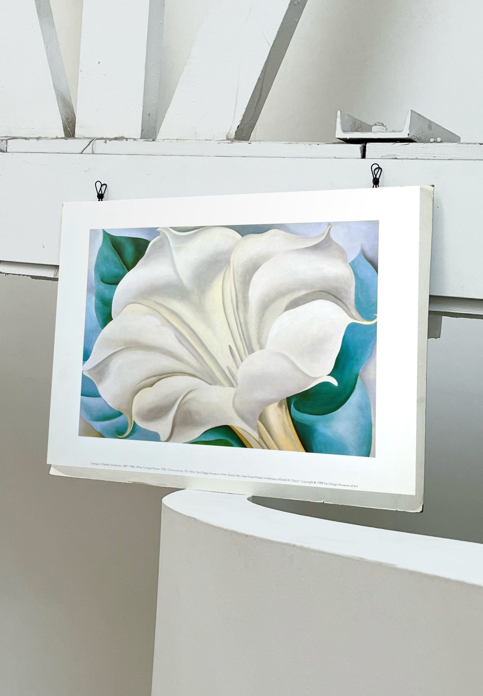 1988 Georgia O'Keeffe 'White Trumpet Flower' German Art Print